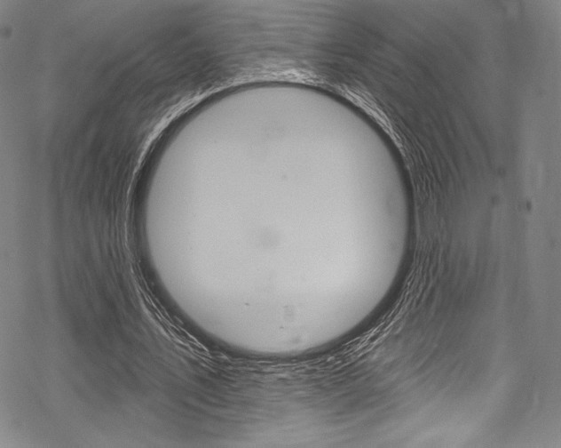 X0000068840579200605050946