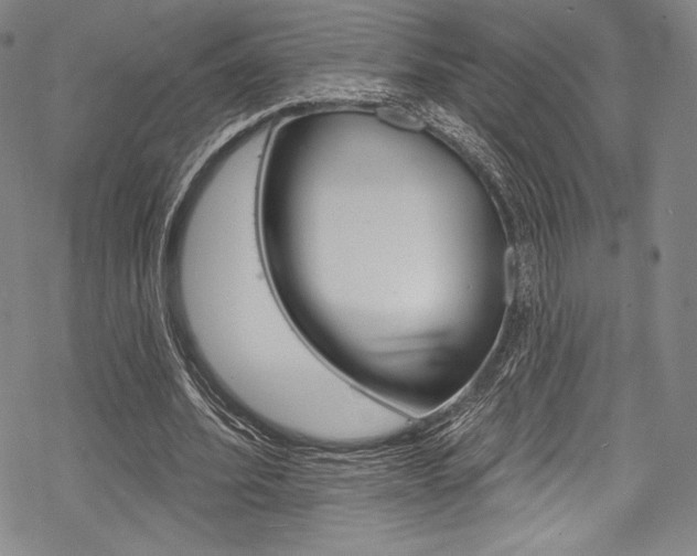 X0000068840580200605050946