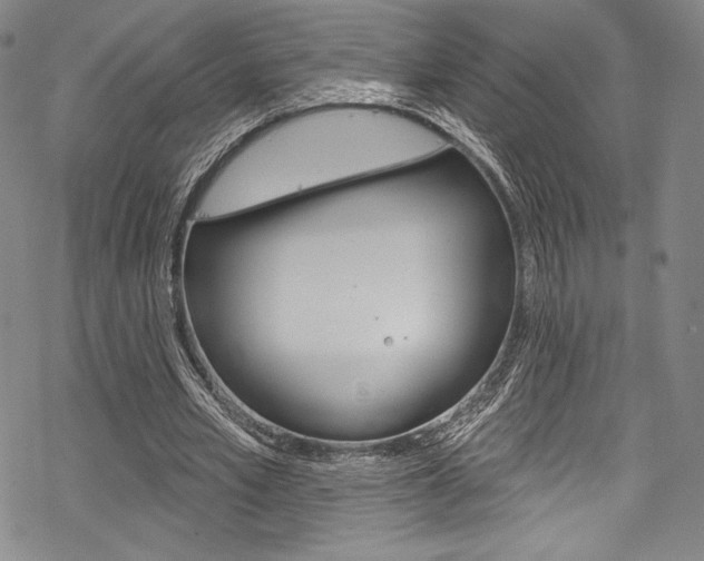 X0000068840581200605050946