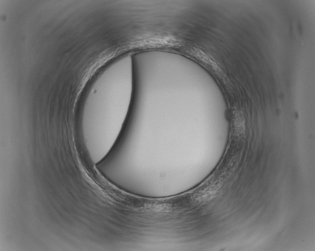 X0000068840582200605050946