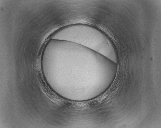 X0000068840583200605050946