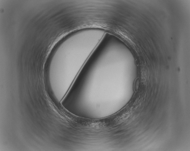 X0000068840584200605050946