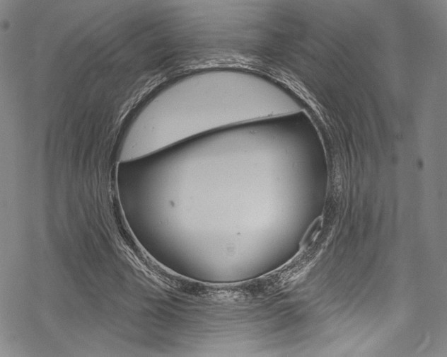 X0000068840585200605050946