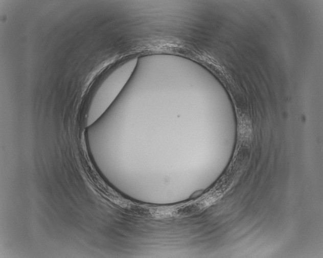 X0000068840587200605050946