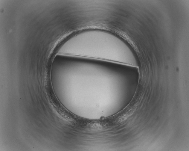 X0000068840588200605050946