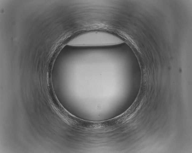 X0000068840589200605050946