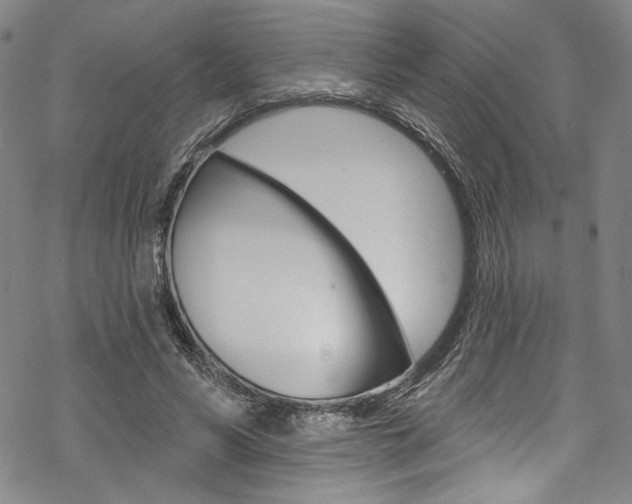 X0000068840590200605050946