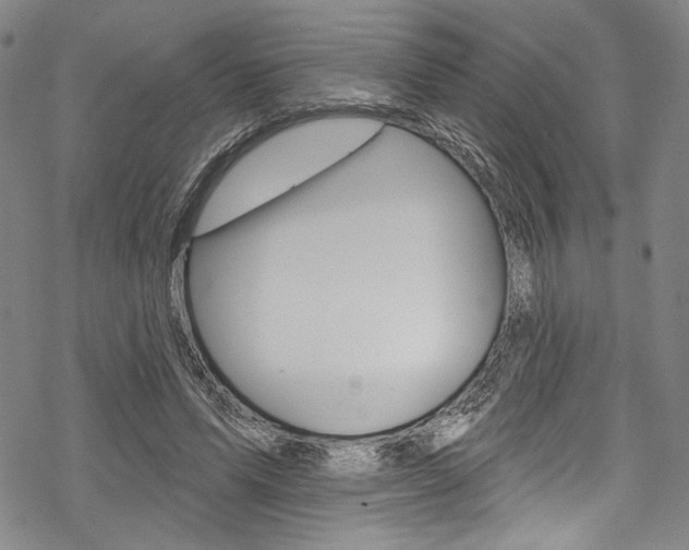 X0000068840591200605050945