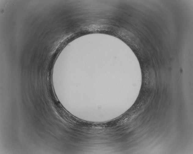 X0000068840592200605050945