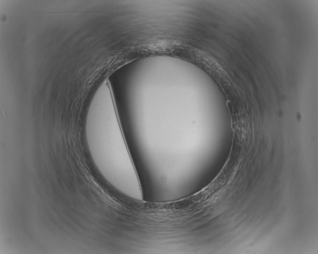 X0000068840593200605050945