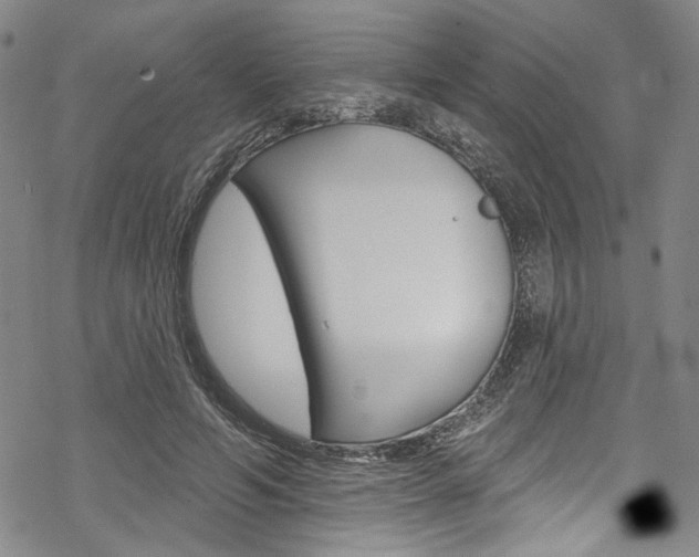 X0000068840594200605050945