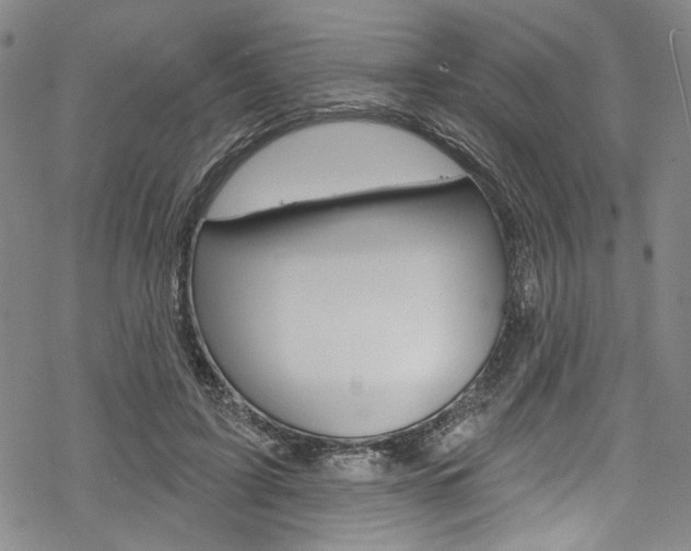 X0000068840595200605050945