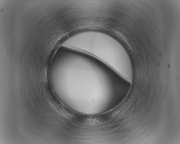 X0000068840596200605050945