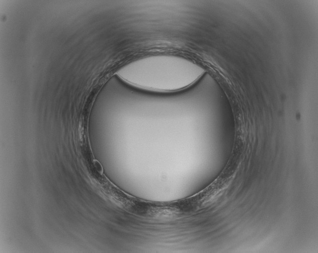 X0000068840597200605050945