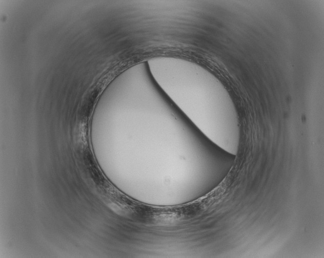 X0000068840598200605050945