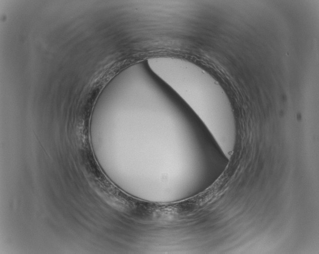 X0000068840599200605050945