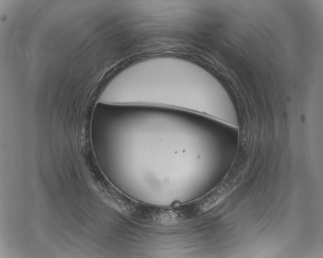 X0000068840600200605050945