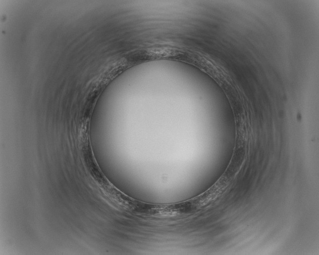 X0000068840601200605050945