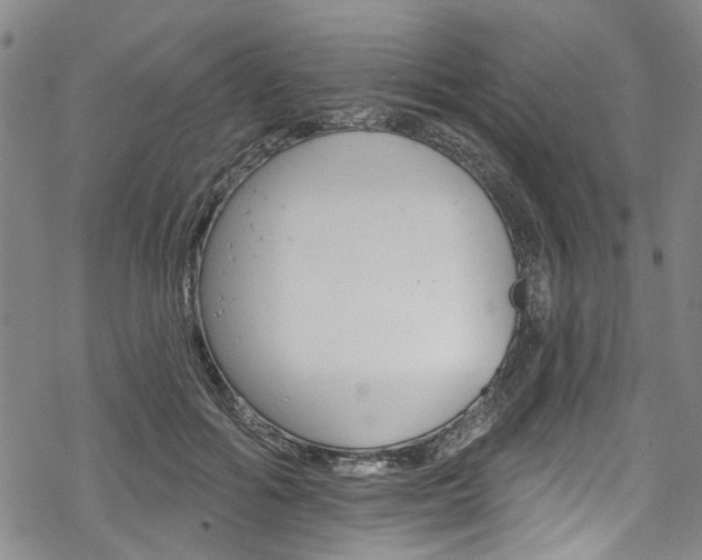 X0000068840602200605050945