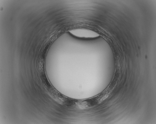 X0000068840603200605050945