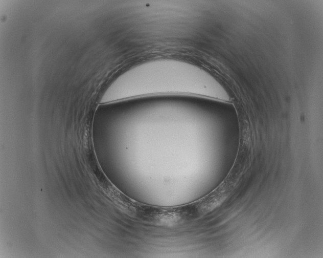 X0000068840604200605050945