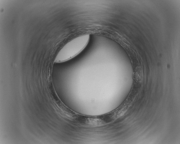 X0000068840605200605050945