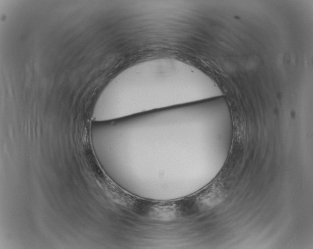 X0000068840606200605050945