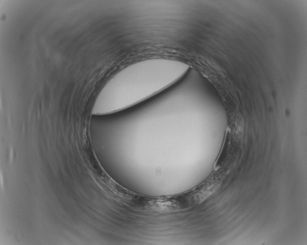 X0000068840607200605050945