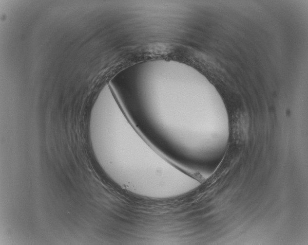 X0000068840608200605050945