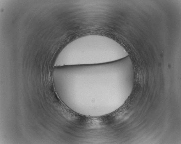 X0000068840610200605050945