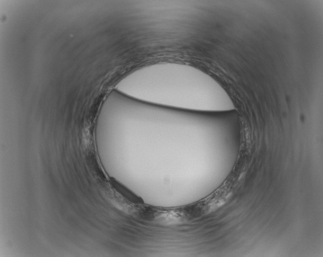 X0000068840611200605050945