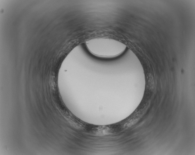 X0000068840612200605050945