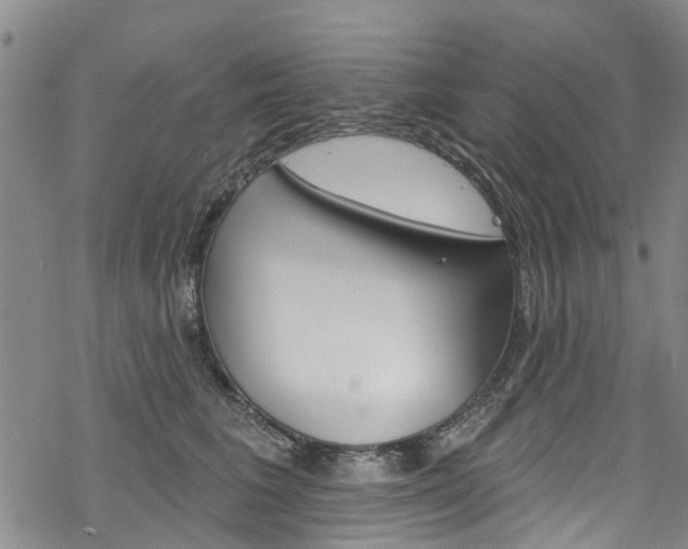 X0000068840613200605050945