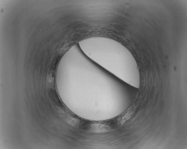 X0000068840614200605050945