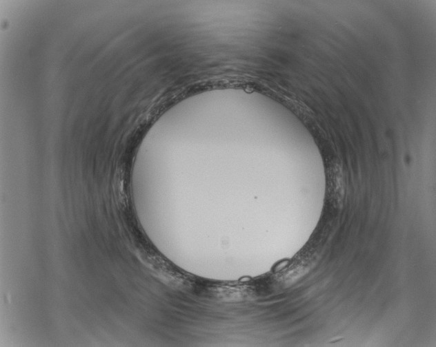 X0000068840615200605050945