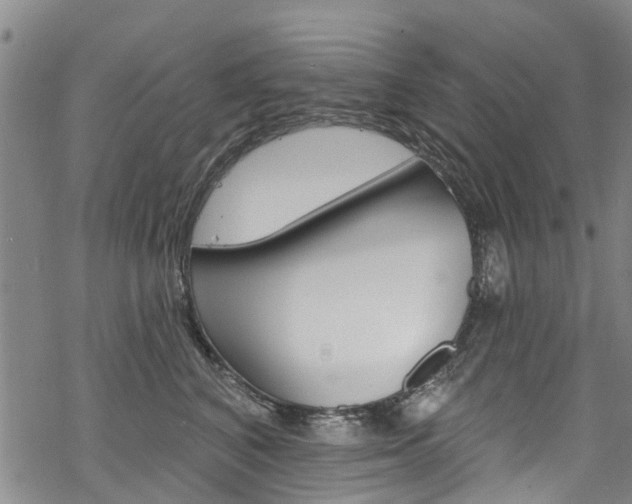 X0000068840616200605050945