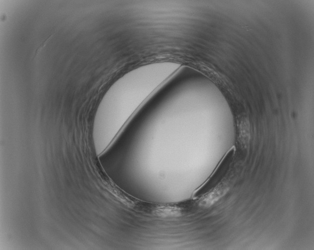 X0000068840617200605050945