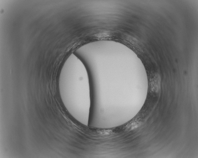 X0000068840618200605050945