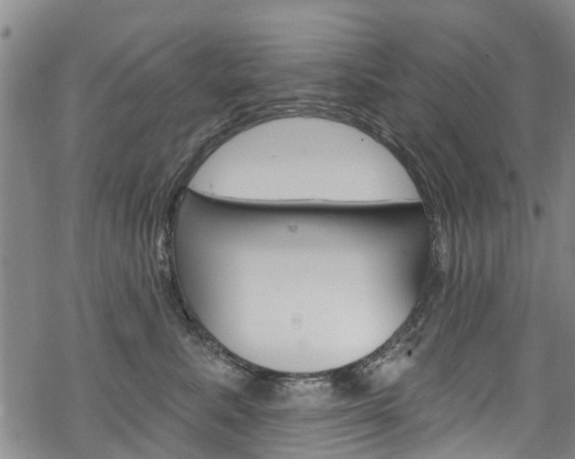 X0000068840619200605050945