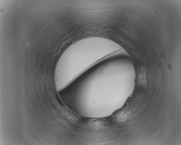 X0000068840620200605050945