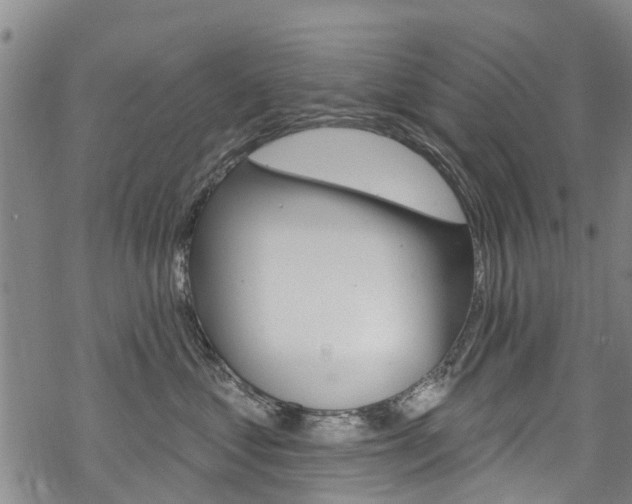 X0000068840621200605050945