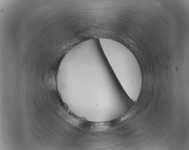 X0000068840622200605050945