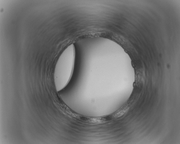 X0000068840623200605050945