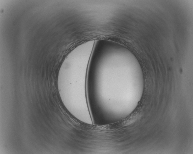 X0000068840624200605050945