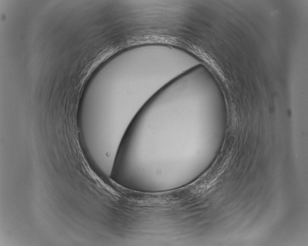 X0000068840625200605050944