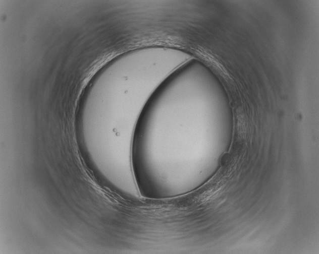 X0000068840626200605050944