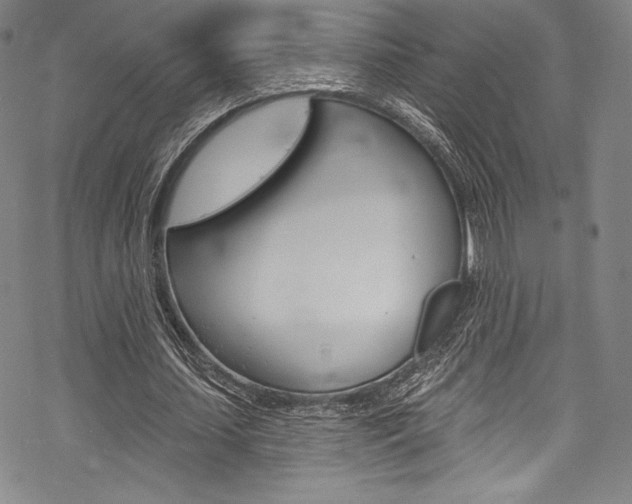 X0000068840627200605050944