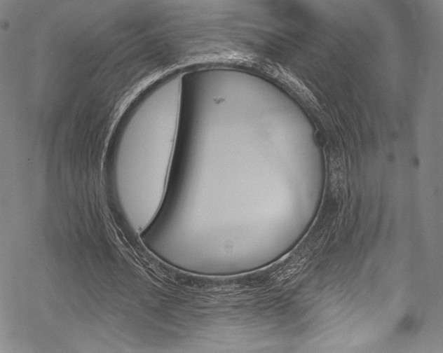 X0000068840628200605050944