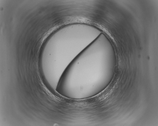 X0000068840629200605050944