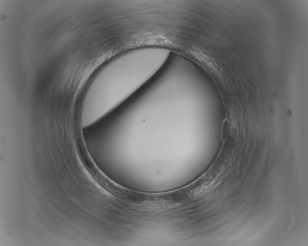 X0000068840630200605050944